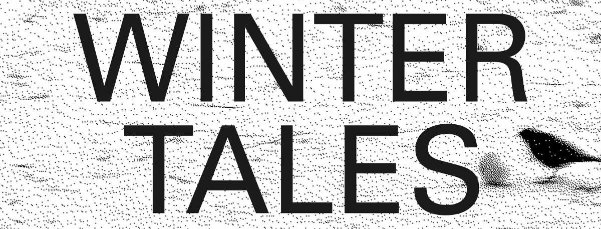 Anteprima Scripta. L’arte a parole  winter tales